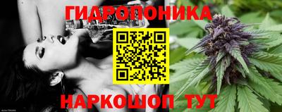 ПСИЛОЦИБИНОВЫЕ ГРИБЫ Чебаркуль