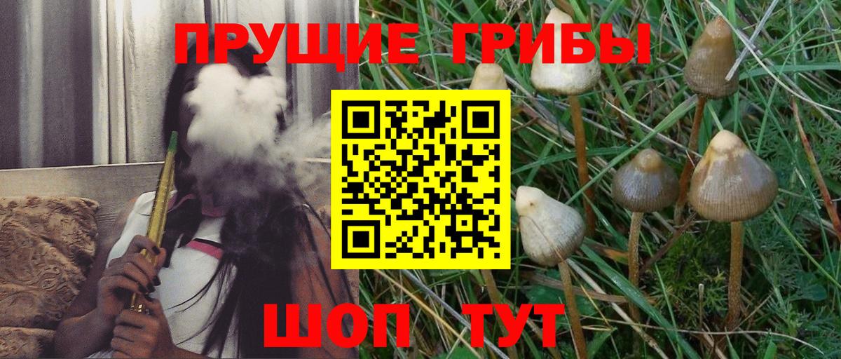 Майкоп  Галлюциногенные грибы мицелий  Вход с VPN  Псилоцибиновые грибы Magic Shrooms 